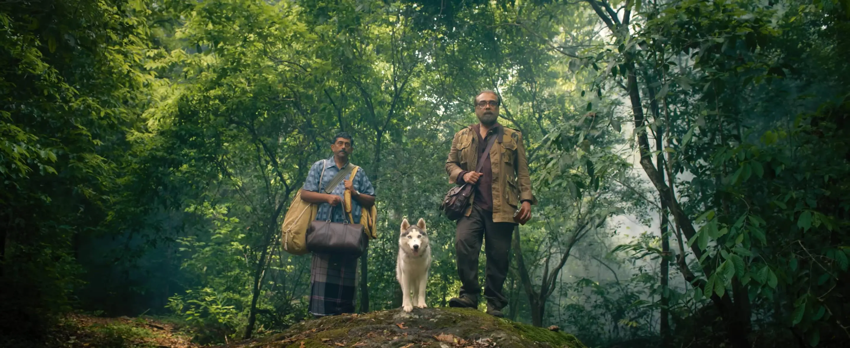 Eko Cinematic Banner