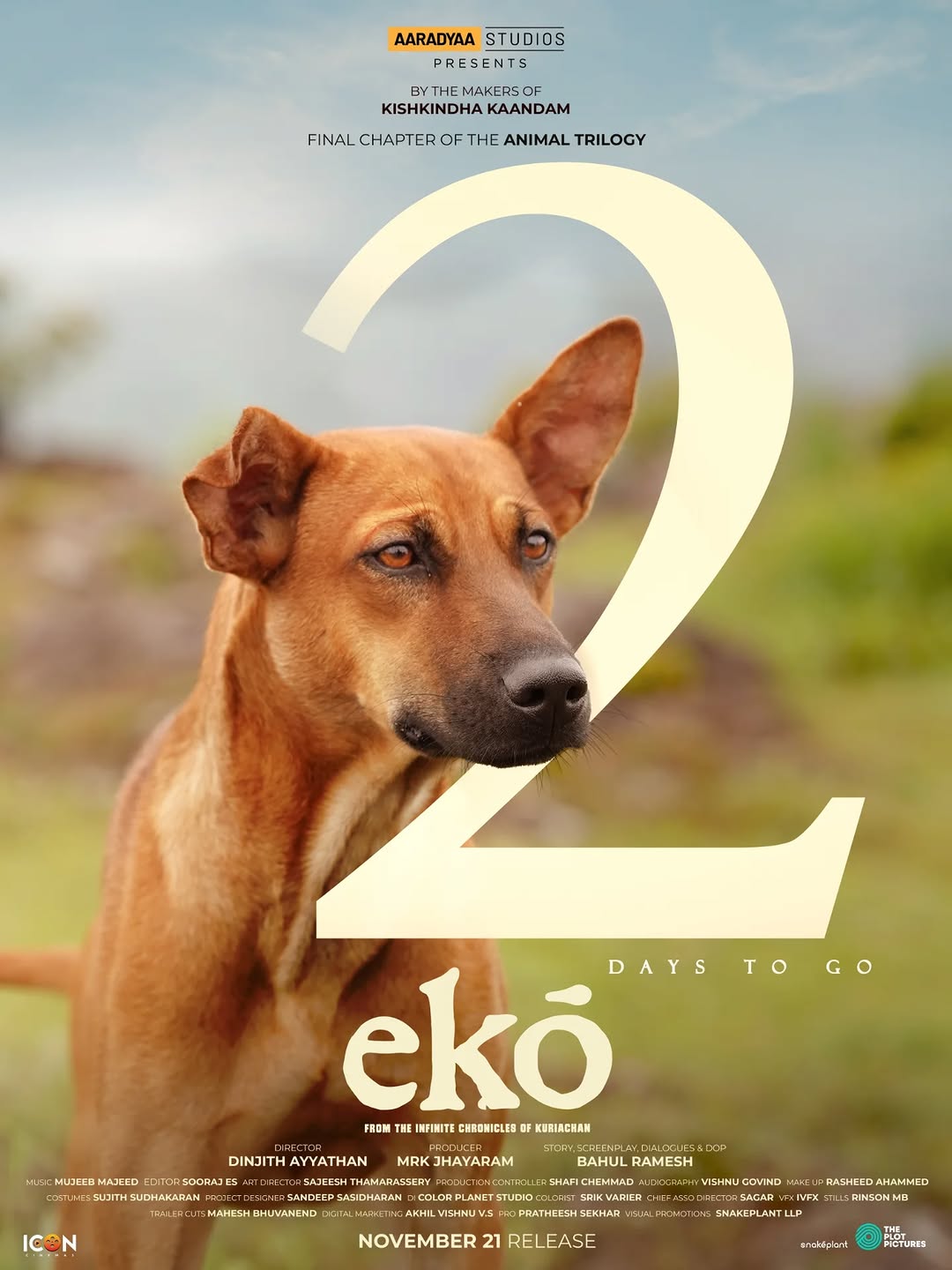 Eko Dogs